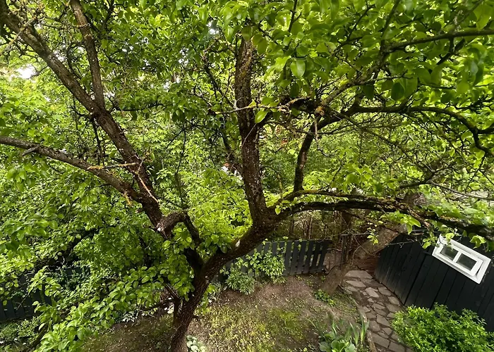 Cosy Hill Apartment Kaunas